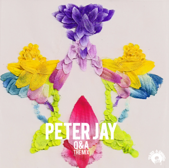 Peter Jay - Q&A The Mix